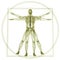 Vitruvian man