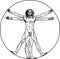 Vitruvian man