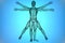 Vitruvian man with DNA