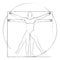 Vitruvian man drawing vector