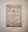 Vitruvian man is a famous authentic drawing by Leonardo da Vinci from the anniversary exhibition at the Louvre