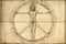 Vitruvian Man. The Modern Transformation. Da Vinci's Vitruvian Man. Leonardo da Vinci. Italian Renaissance