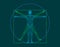 Vitruvian man. Wireframe human body. Vector outline illustration