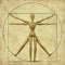 Vitruvian mannequin