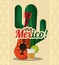 Viva mexico - cactus guitar and drink tequila