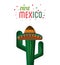 Viva mexico cactus hat festive