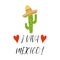 Viva Mexico colorful festive banner with cactus, sombrero. Bright vector sign, print, logo, label