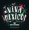 Viva Mexico hand drawn type design. Banner layout background.