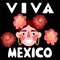 Viva Mexico lettering with happy woman and flowers vector illustration