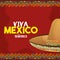 Viva mexico poster icon