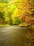 Vivid autumn. Colors of autumnal river in forest. Colorful banks with leaves, leaves trees