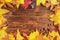 Vivid autumn leaves and acorn frame background