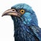 Vivid Blue And Black Bird Illustration - Realistic Hyper-detailed Portrait