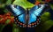 Vivid blue and red butterfly perched on green foliage with delicate wings outstretched embodying natures grace