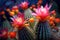 vivid cactus flowers surrounded by sharp spines