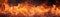 Vivid close-up of a blazing fire with dynamic flames, ideal for themes related to energy, warmth, cooking, or outdoor