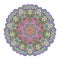 Vivid colored mandala for your design