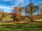 Vivid colors of autumn showed on trees and meadow found in distant wild untouched nature as a peaceful stress free environment for