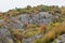 Vivid colors of the autumn trees on a rocky cliff in a canyon of Gradasnicka river, Pirot, Serbia.