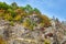 Vivid colors of the autumn trees on a rocky cliff in a canyon of Gradasnicka river, Pirot, Serbia.