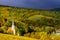 Vivid colors of autumn vineyards in Andlau, Alsace