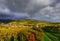 Vivid colors of autumn vineyards in Andlau, Alsace