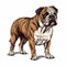 Vivid Comic Book Style English Bulldog Illustration On White Background