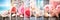 Vivid compilation of assorted personal care items stylishly divided by crisp white vertical lines
