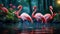 Vivid Flamingo Illustration: Hyper-realistic Animal Art By John Wilhelm