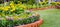 Vivid flower pot decoration in cozy home flower garden on summer.