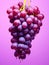 Vivid Grapes: A Pop Art Minimalist Feast