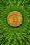 A vivid green field with a bitcoin logo, showing the harmony of ecology and economy