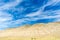 Vivid green sagebrush, tan hills and brilliant bue skies by black rock desert