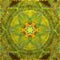 vivid green and yellow coloured hexagonal floral fantasy