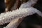 Vivid image of a twig covered in intricate ice crystals