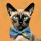 Vivid Imagery: Siamese Cat With Bow Tie In Andy Warhol Style