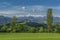 Vivid landscape with geen hills and high mountains