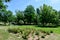 Vivid landscape in Nicolae Romaescu park from Craiova in Dolj county, Romania, with lake, waterlillies and large green tres in a