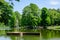 Vivid landscape in Nicolae Romaescu park from Craiova in Dolj county, Romania, with lake, waterlillies and large green tres in a