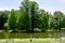 Vivid landscape in Nicolae Romaescu park from Craiova in Dolj county, Romania, with lake, waterlillies and large green tres in a