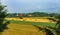 A vivid landscape of Serbian countryside and fields