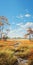 Vivid Landscapes Realistic Marine Paintings Of Grassy Fields And Trees