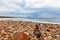 Vivid orange pebbles on ocean beach.