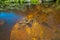 Vivid orange rocks underwater.