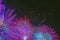 Vivid purple fireworks with sparks on dark sky. Explosive pyrotechnic devices for aesthetic and entertainment purposes