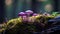 the vivid purple hues of the Amethyst Deceiver mushroom