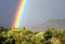 Vivid Rainbow in Arizona desert community