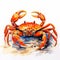 Vivid Realism Watercolor Illustration Of Crab On The Beach