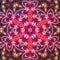 Vivid red fractal mandala