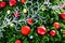 Vivid Red and Gold Decorative Balls on Christmas Tree